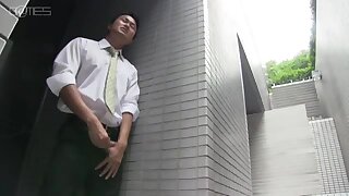 nhựt bổn asia GMS454