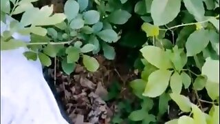 Chinese ,olderman ,asian gay