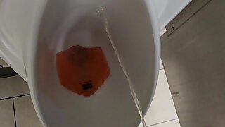 Risky Piss Marking Rest Stop Urinal - ThisVid.com