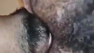 A very hairy asshole is tongue fucked