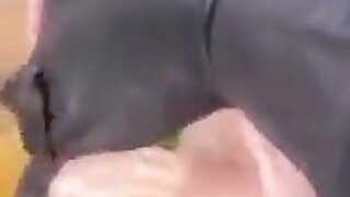 Young Mcdonald had a farm *no copyright infringement intended - video found on the web. All participants are 18+*