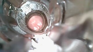 Cumshot