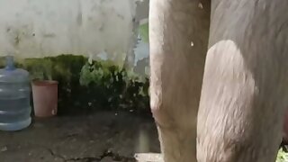Slum pigs 1 *no copyright infringement intended - video found on the web*
